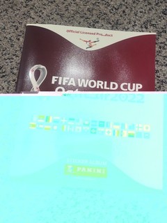 Panini FIFA World Cup Qatar 2022 Sticker Album complete