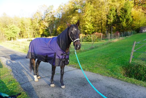 Regendecke 1200D Halsteiloption 115, 125, 135, 145, 155 & 165 Outdoordecke - Bild 4 von 20