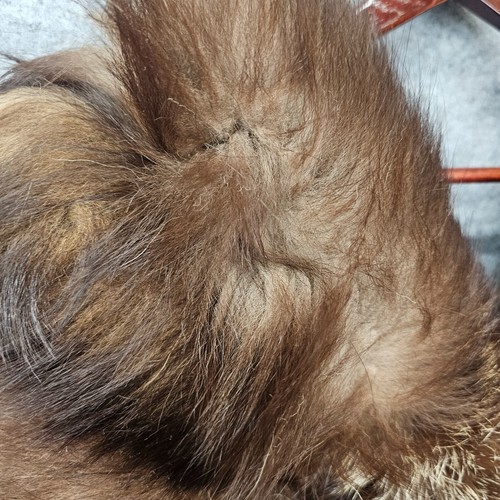 Vintage Real Fur Stole Wrap Brown Shawl Tails Old Hollywood Glam Whimsy Warm - Picture 10 of 12