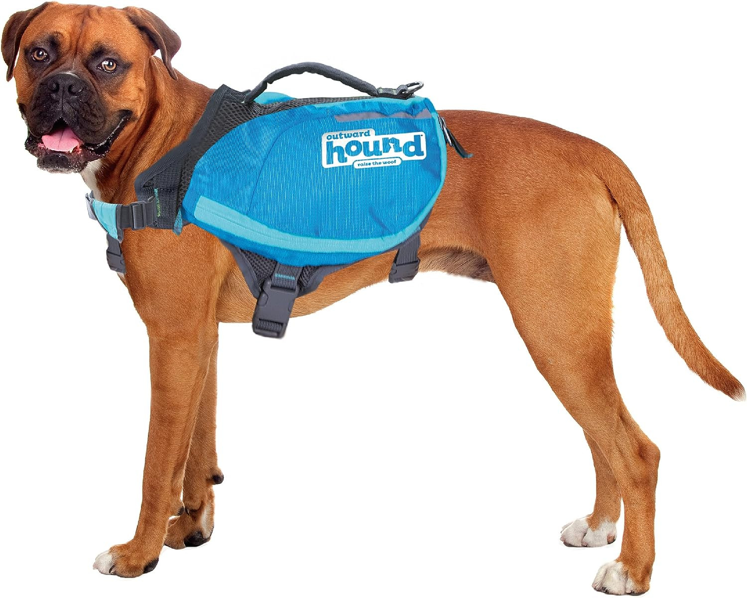 Zaino Cani Grande Kyjen Outward Hound DayPak Blu - Pronti all'Avventura