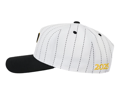 PALACE x Hanshin Tigers 5 Panel Snapback PINSTRIPE White 100% NEW