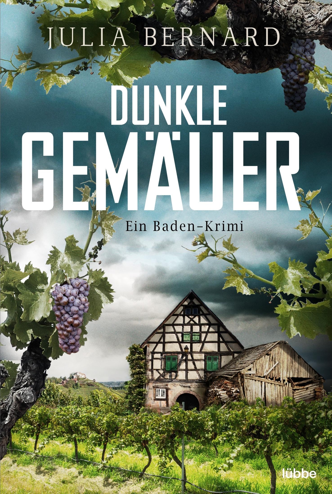 Dunkle Gemäuer | Buch | 9783404185825