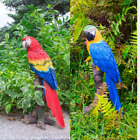 Scarlet/Blue Parrot Resin Garden Statue Decoration Home Decor Wildlife Animal