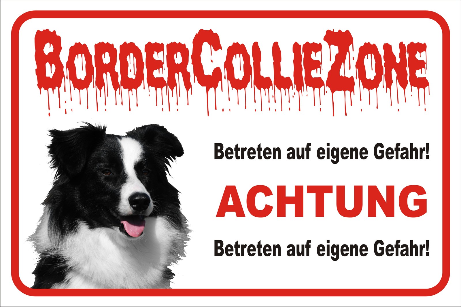 Warnschild 'Vorsicht Border Collie' – 30x40 Cm, Aluminium, Wetterfest