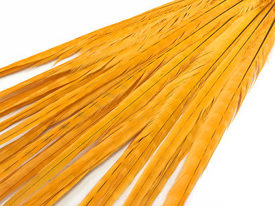 50 Feathers 18-22'' Golden Yellow Long Ringneck Pheasant Tail Wholesale Halloween