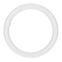 Osram Substitube T9 Led 32 20W/865 G10Q