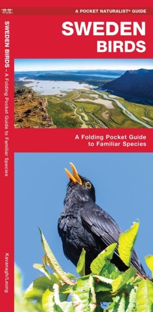 Sweden Birds by James, Waterford Press Kavanagh (Pamphlet)