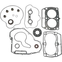 Polaris 800 Sportsman / 800 Rzr / 700 Ranger - Satz Dichtungen Motor Voll-