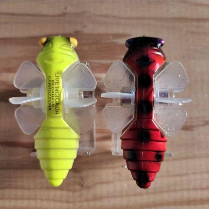 ルアー・フライ Megabass CARROZZERIA LTD LIVE'N CICADA Fishing Lure Megabass Carrozzeria Ltd Live'N Cicada | eBay