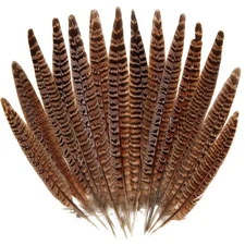 20pcs Female Pheasant Feather Natural Ringneck Tails Feathers 6-8inch 15-20cm...
