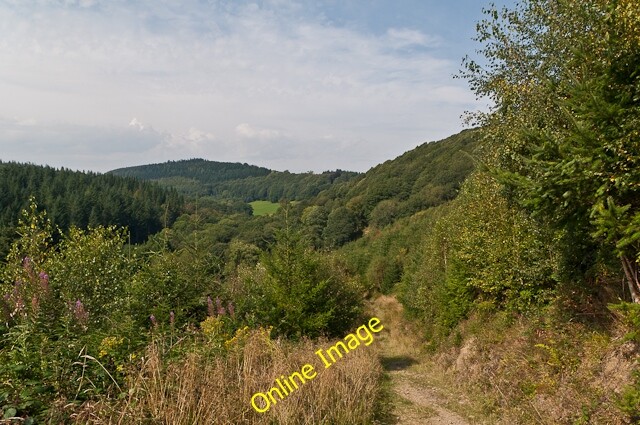 Photo 6x4 Climbing out of Mary Knoll Valley Ludlow The fine oak woodland c2012
