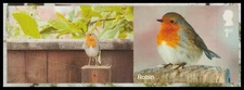 GB LS170i Garden Wildlife Robin 1st single MNH 2025