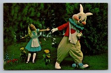 Postcard Disney World Alice in Wonderland White Rabbit Hurry! We re Late!  K640