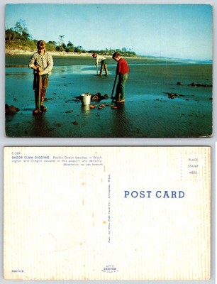 Washington Oregon Razor Clam Digging Postcard AF317