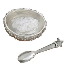 Basic Spirit Sea Urchin Salt Bowl with Spoon, Pewter, for Salt & Spices