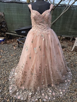 Dancing Queen Stunning Elegant Pink Floral Applique Sheer Formal Ball Gown