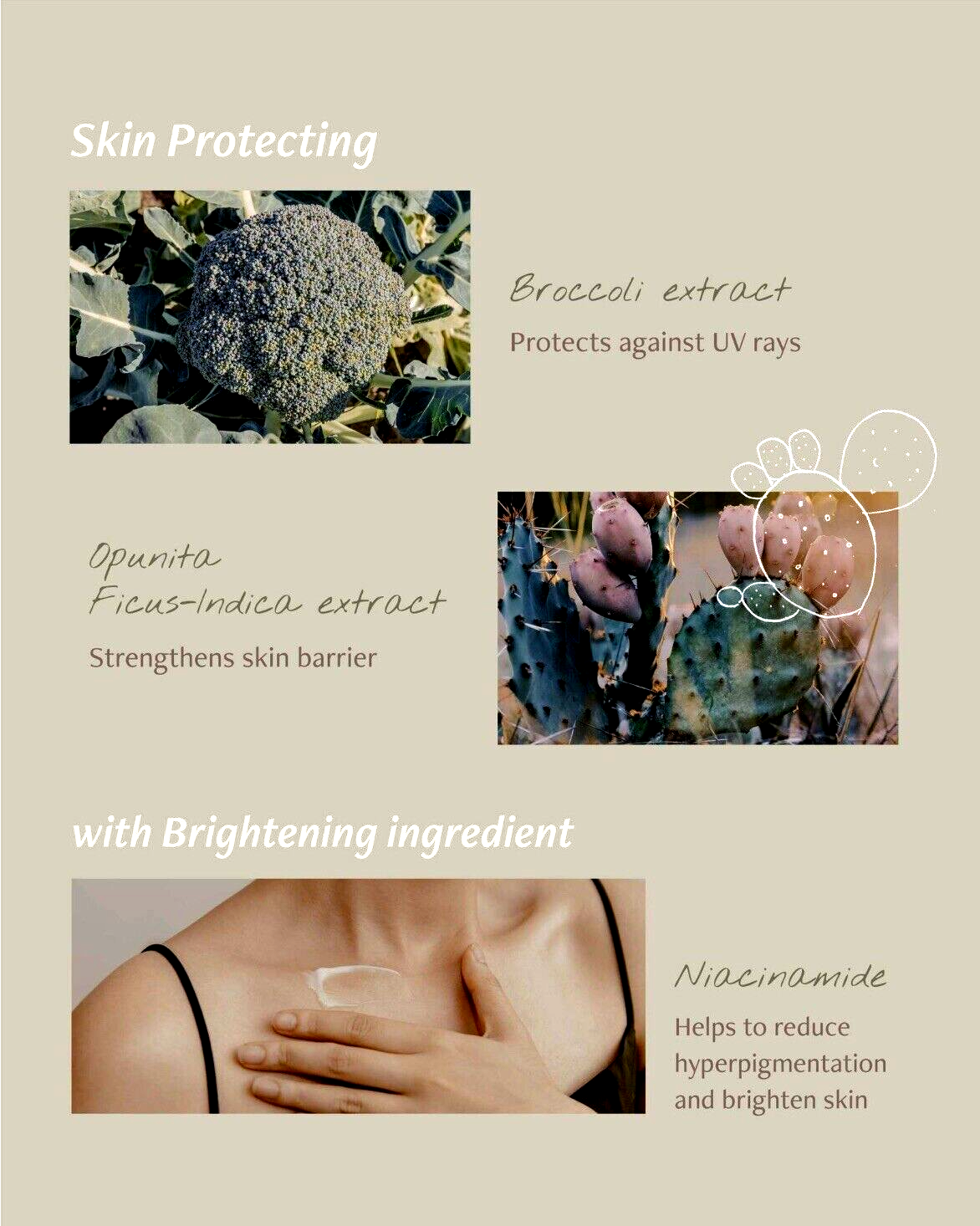 Imagen 4 de 16
