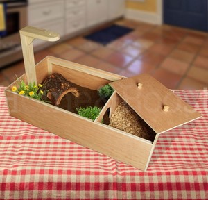 small tortoise table