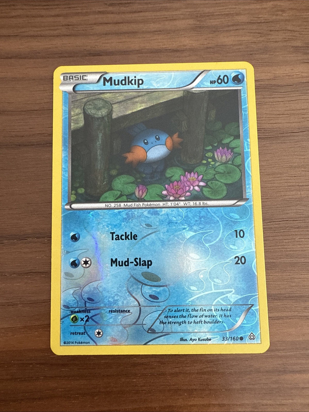 Mudkip 33/160 C Reverse Holo Pokemon TCG Card Primal Clash LP-VG