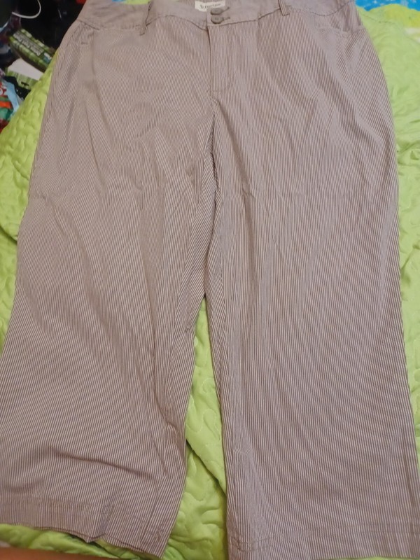 St. John's Bay NWT Woman 16 W  SECRETLY SLENDER capri  Brown Stripe