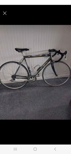 Sintessi Nyx Racing Bike