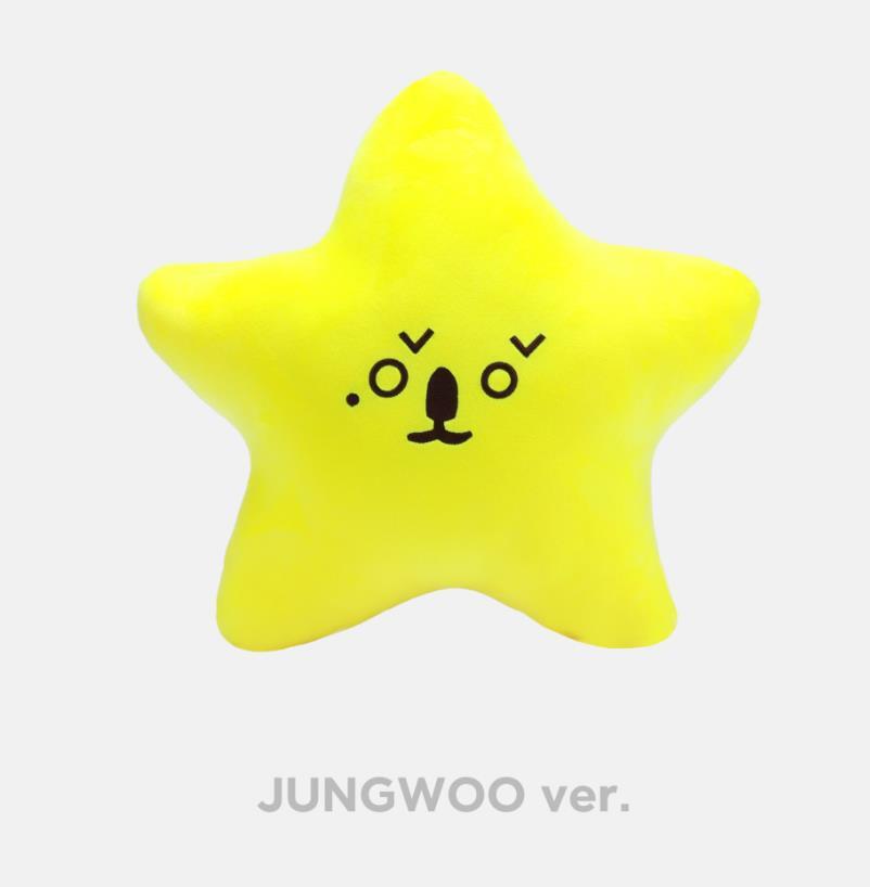NCT 127 8TH ANNIVERSARY SMTOWN OFFICIAL MD STARFISH CUSHION SET +