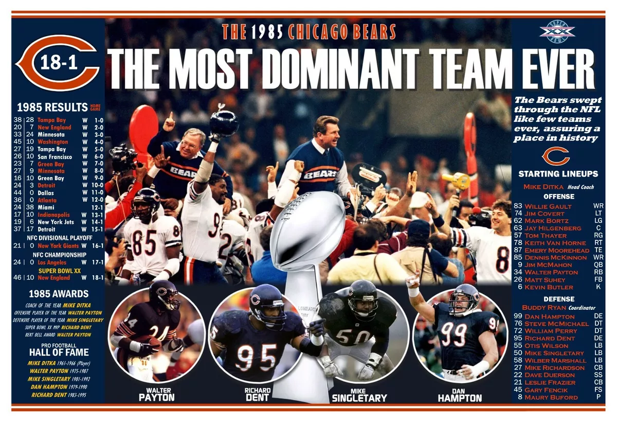 Chicago bears super sale bowl