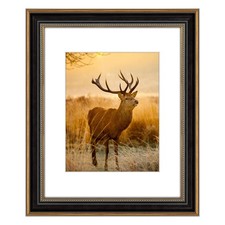 AUEAR 16x20 Picture Frame For 11x14 Photo,Real Glass,Gold Black Frame B09FBQJRZ9