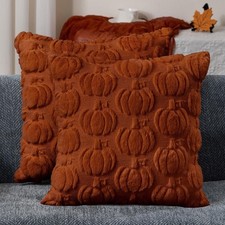 DFXSZ Fall Pillow Covers 18x18 Set of 2 18 x 18 Pack 1 , Rust