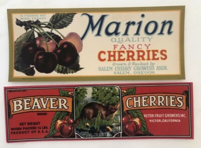 2 CHERRIES Beaver Victor CA Fruit Crate Label VINTAGE Advertising SALEM OR