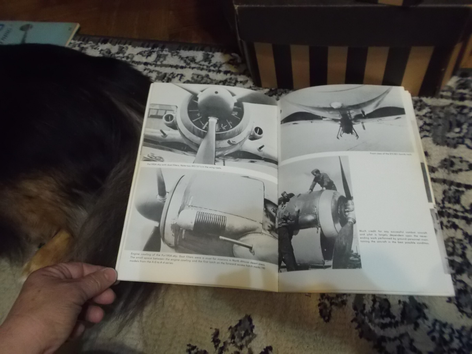 Lot of 8 WWll Aircraft Books - Softcover - P-38, P-51, B-25A, F4U, FW190