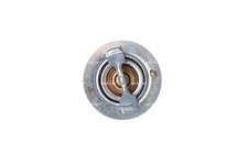 Thermostat Hyundai GALLOPER