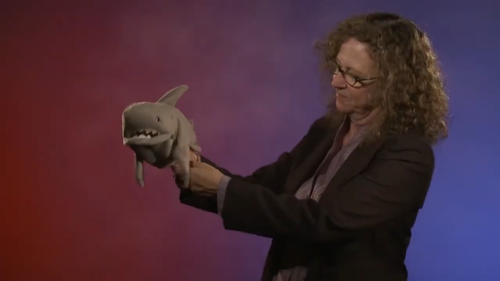 Hai / Shark, Folkmanis Puppets realistische Handpuppe Plüsch (2064) - Video 1 von 1