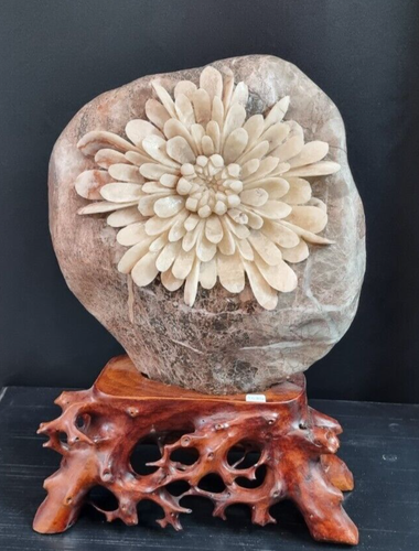 CHRYSANTHEME, pierre de
