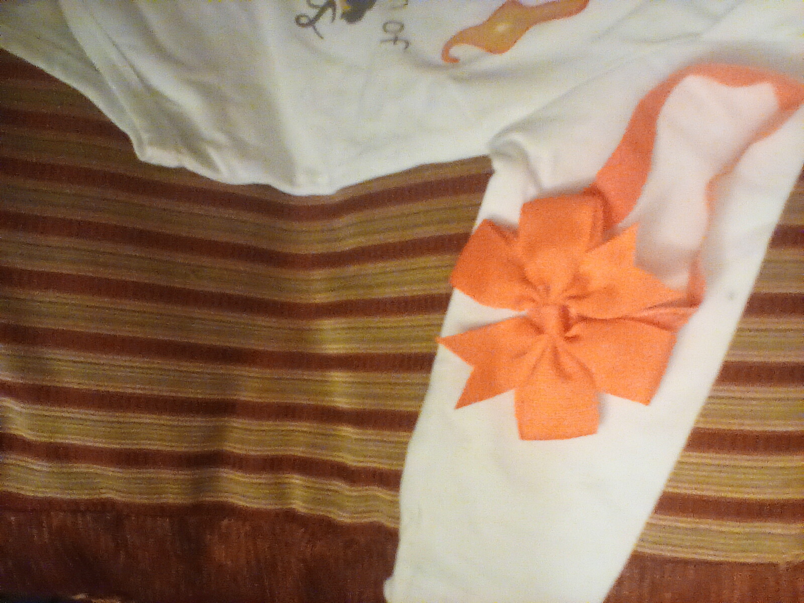 Picture 4 of 5