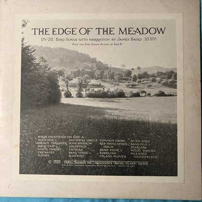 ON THE EDGE OF THE MEADOW  On This Side The Bird Songs Alone 12'' vinyl record