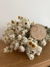 80GR DRIED WEDDING FLOWERS BUNCH AMMOBIUM ALATUM ARRANGEMENT DECORATION 16"
