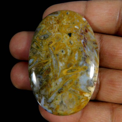 91.90Cts. Natural Gorgeous Palm Root Agate Oval Cabochon Loose Gemstone