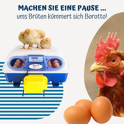 Borotto automatische REAL 24 - Patentierte professionelle Brutmaschine     