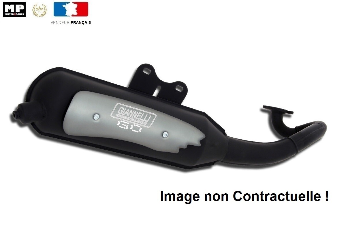 Pot Giannelli pour moteur Minarelli de Scarabeo 50 1998-2001