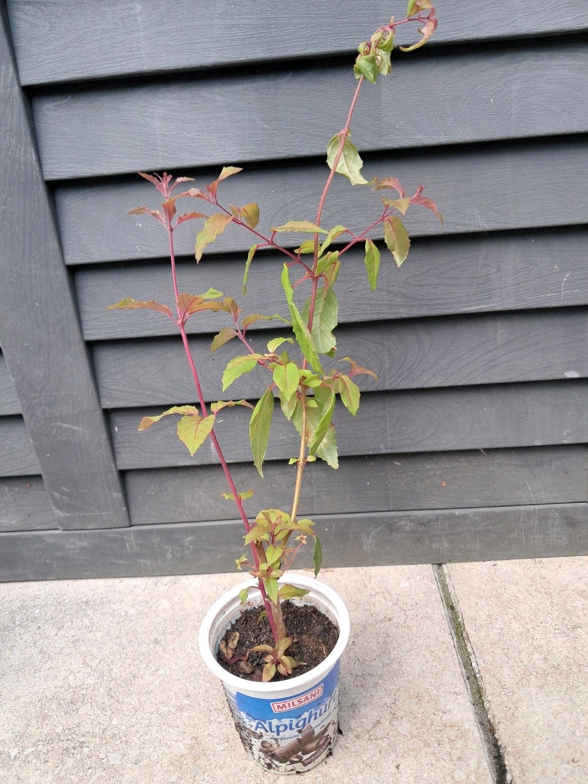 Bild 3 von 4