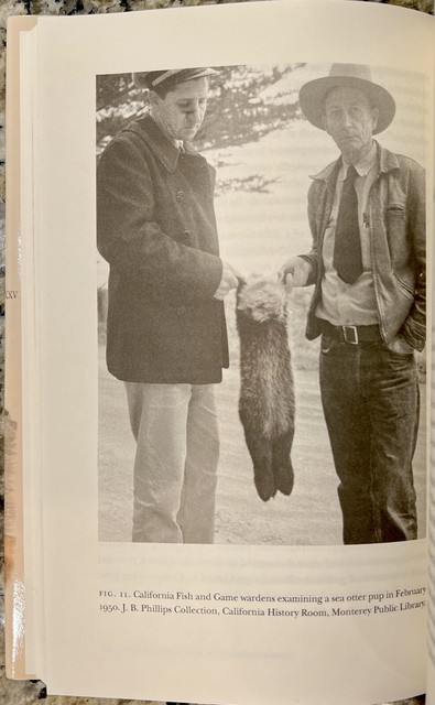 Studies in Pacific Worlds Ser.: Sea Otters : A History by Richard ...