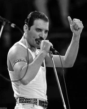 Freddie Mercury Queen Singer Black And White 4x6 Picture Celebrity Print