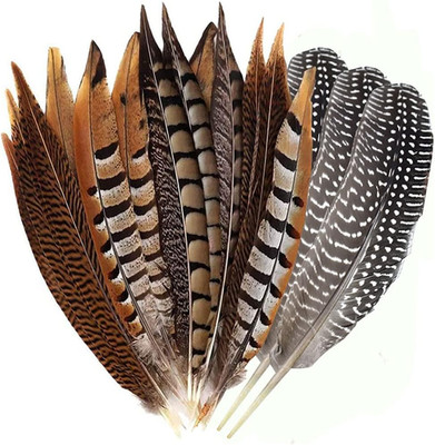Flying Feathers Natural Pheasant Feathers 4 Style 15-20Cm 12Pcs Natural Feathers