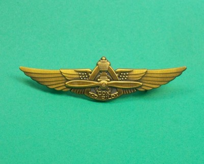 COX Thimble Drome Wally Wins His Wings pin from Cox - Perfect New Condition