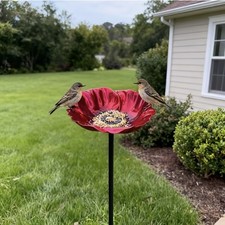 Vogeltränke Vögel bordeaux Bienennapf Eisen...