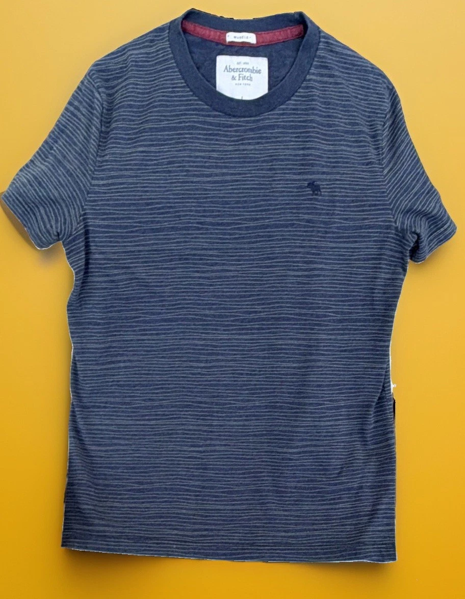 Abercrombie & Fitch Short Sleeve Striped T-Shirts for Men for sale