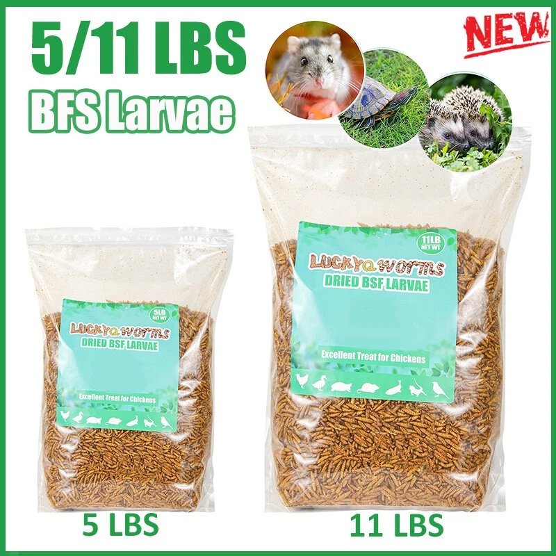 LUCKYQ 5/11LBS Premium Dried Black Soldier Fly Larvae Chicken Food Turtles Birds Food