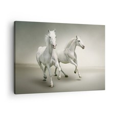 Quadro su Tela 70x50cm Animali arabo cavallo fattoria Stampe Immagini Murale