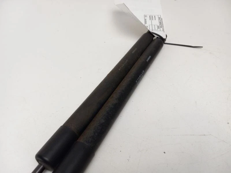 Nissan Rogue 2008 puerta trasera puntal Foto 3 de 4